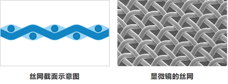 麻豆电影在线播放-3.jpg