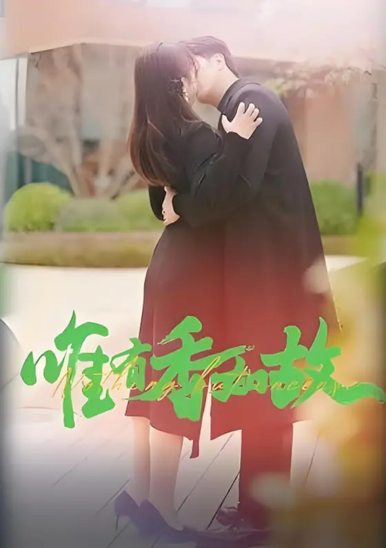 《唯有香如故》：穿越时空的爱恋，古风韵味与现代情感的完美融合，一部让人沉醉的浪漫史诗！