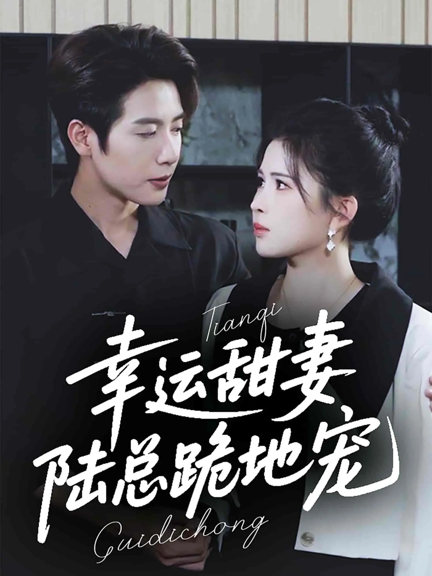 《幸运甜妻，陆总跪地宠》：当霸道总裁遇上甜美娇妻，一场跨越身份的浪漫爱情故事